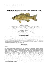 Image result for Micropterus dolomieu