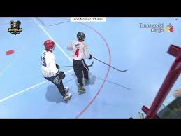 Image result for Urban Knights Inline Roller Hockey
