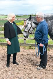 Image result for Ascot Badminton Club