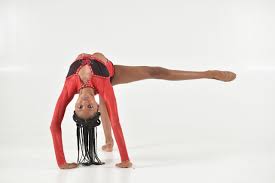 Image result for Elements Acro