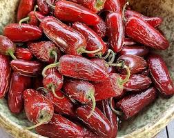 Afbeeldingsresultaat voor biker billy jalapeno hot pepper