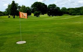 Image result for Laleham Golf Club