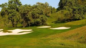 Image result for The Combe Martin Institute Club