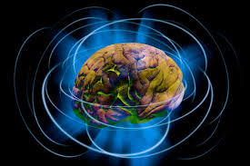 Image result for consciousness