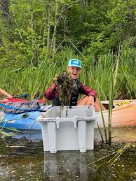 Image result for Canoe Lake Bowling Association