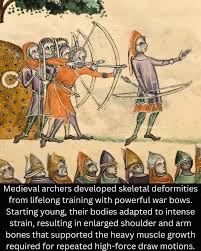 Image result for Longbow Archers