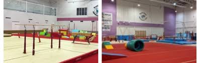 Image result for South Essex Gymnastics Club