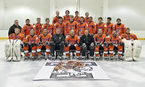 Image result for Telford Junior Ice Hockey Club