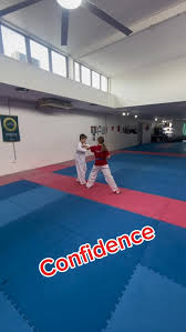 Image result for Red Dragon Taekwondo club