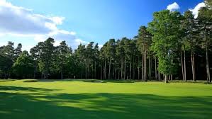 Image result for Blue Mountain Golf Centre