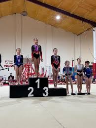 Image result for Lincoln Gymnastics Club