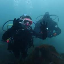 Image result for Scuba Skooling