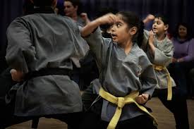 Image result for Shaolin Nam Pai Chuan Kung Fu - Manchester Martial Arts Centre