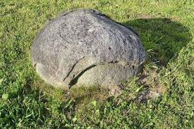 Image result for intemperismo