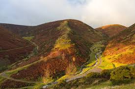 Image result for Long Mynd