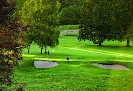 Image result for Stoke Rochford Golf Club