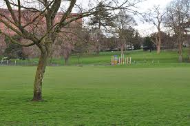 Image result for Greville Smyth Bowls Club