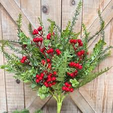 Attēlu rezultāti vaicājumam “Carex elata flower”