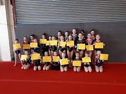 Image result for Haverfordwest Gymnastics Club