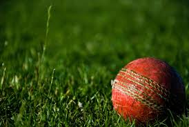 Image result for Shepherdswell Cricket Club
