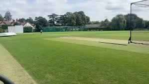 Image result for Beckenham Cricket Club