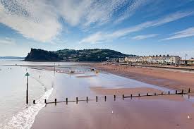 Image result for Dawlish Sc