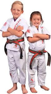 Image result for Northern Freestyle Karate Association