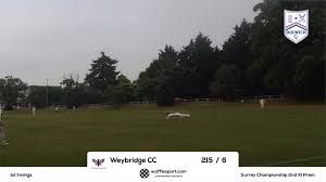 Image result for Dulwich Cricket Club
