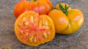 Afbeeldingsresultaat voor caro rich tomato