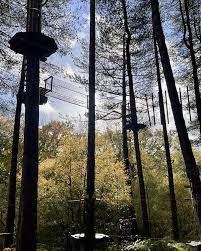 Image result for The Go Ape Experience (Delamere Forest)