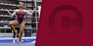 Image result for Kendal School Of Gymnastics