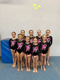 Image result for Coalville Gymnastics Club