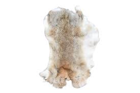 Image result for white rabbit skin texture