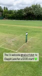 Image result for Ledsham Cricket Club