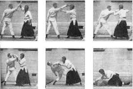 Image result for Goshin Ryu Atemi JuJitsu