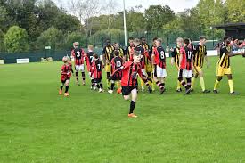 Image result for Droitwich Spa Boys & Girls Football Club