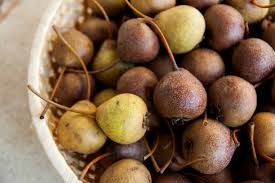 Attēlu rezultāti vaicājumam “Pyrus pyraster fruit”