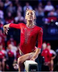 Image result for Hemsworth Odyssey Gymnastics Squad