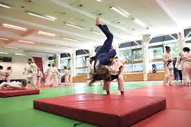 Image result for Towy Judo Club, Llandovery, Wales
