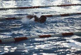 Image result for Stockton Swimming Club