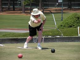 Image result for Bridgman Indoor Bowls Club