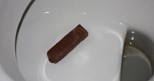 Image result for german toilet