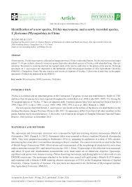 Attēlu rezultāti vaicājumam “Trichia flavicoma spores”