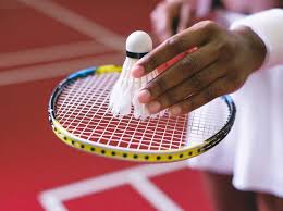 Image result for Doncaster Badminton