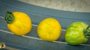 Afbeeldingsresultaat voor butter and bull heart tomato