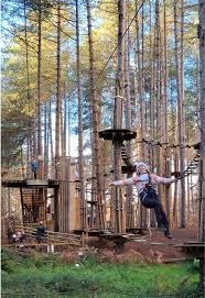 Image result for The Go Ape Experience (Delamere Forest)