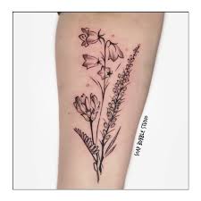 Attēlu rezultāti vaicājumam “Astragalus danicus leaf”