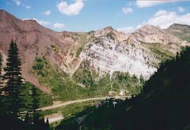 Attēlu rezultāti vaicājumam “Preissia quadrata”