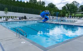 Image result for York University Pool Club