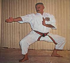 Image result for Kensei Karate Dojo